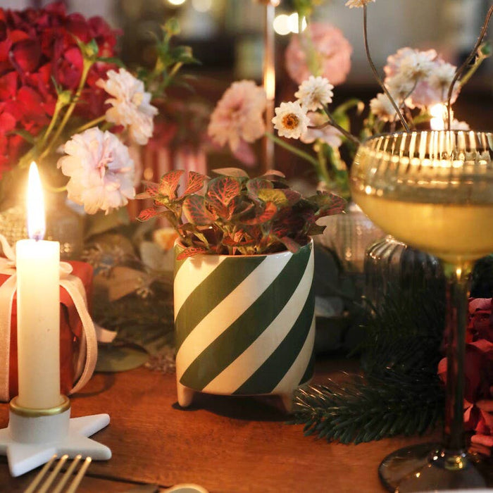 Petit pot de fleurs à rayures vertes en forme de canne à sucre