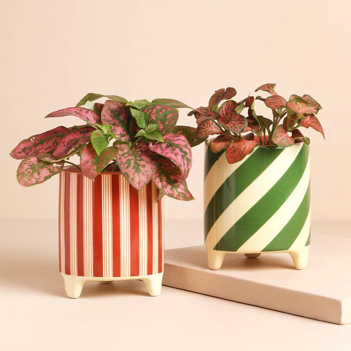 Red Candycane Stripe Small Planter