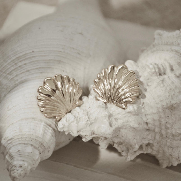 Silver Shell Fine Earrings